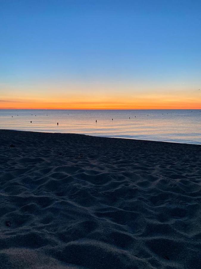 Un Petit Nid Les Pieds Dans L'Eau Apartamento Argelès-sur-Mer Exterior foto